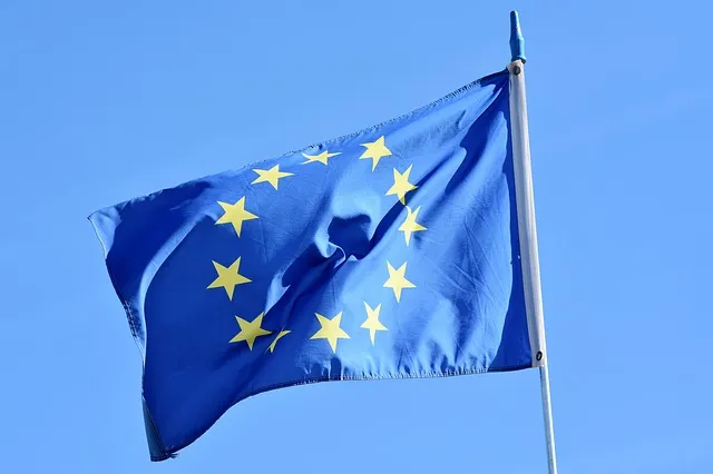 bandiera europa partito sistema paese